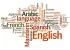 Languages cluster image
