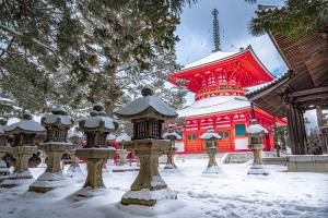 Wakayama shrine - Winter in Japan