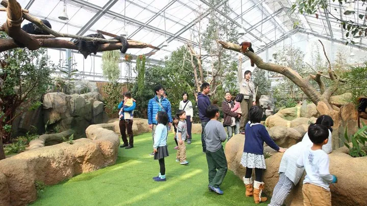 Kobe Animal Kingdom | Kobe JET
