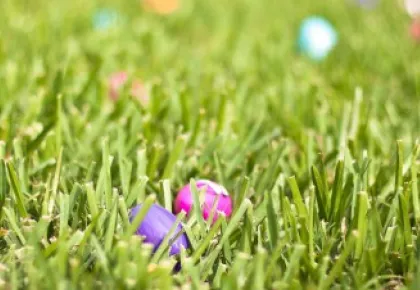 Easter egg hunt in green grass