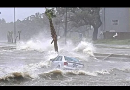 Car caught in a flood being pushed into a palm tree