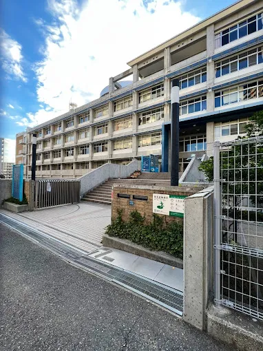 High School of Science and Technology