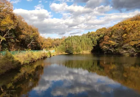 Oshibedani Junior High School